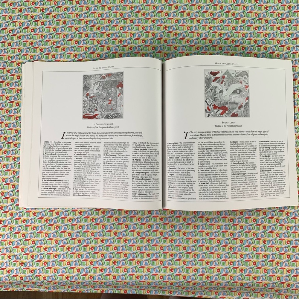 Animal Information Interactive Learning Book Set. - Picture 6 of 16